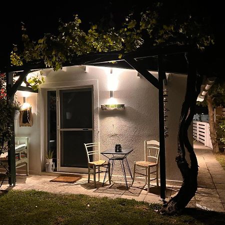 PlatánionUnder The Vine Garden Houseアパートメント エクステリア 写真