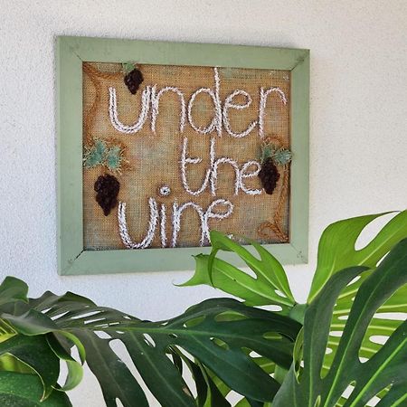 PlatánionUnder The Vine Garden Houseアパートメント エクステリア 写真