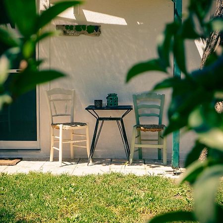 PlatánionUnder The Vine Garden Houseアパートメント エクステリア 写真