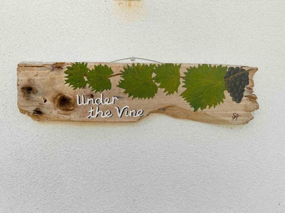 PlatánionUnder The Vine Garden Houseアパートメント エクステリア 写真